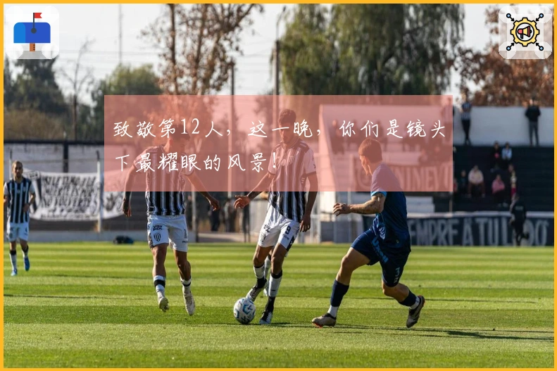 致敬第12人，这一晚，你们是镜头下最耀眼的风景！